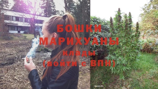 шишки Нягань