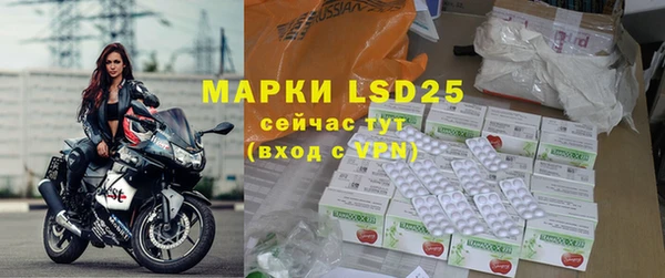 PSILOCYBIN Павловск